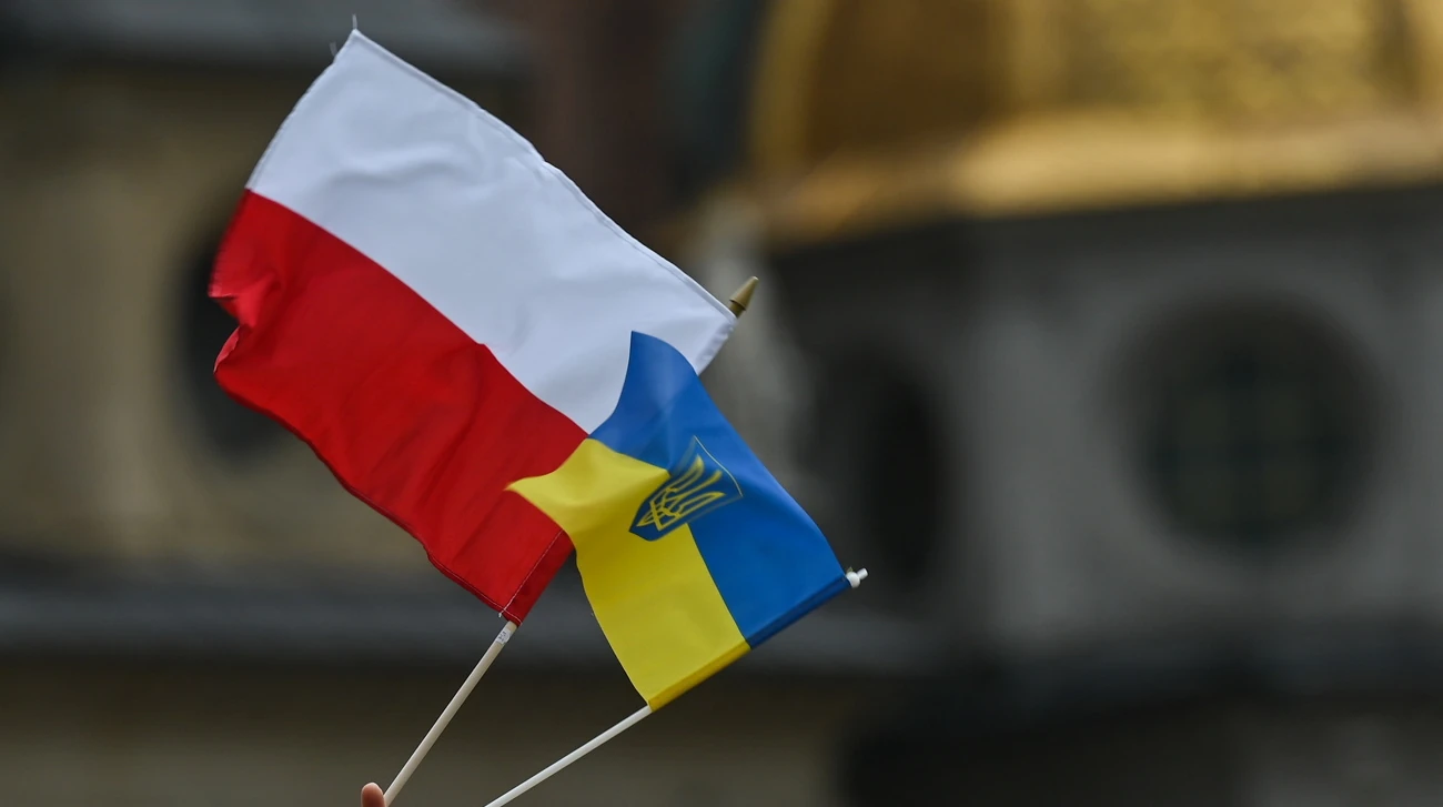 Опитування IBRiS: 67,2% поляків підтримують депортацію українських чоловіків без роботи