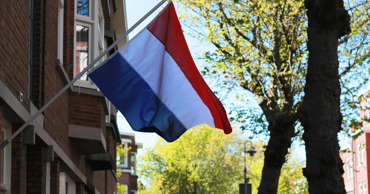 Україна просить Нідерланди достроково дати 2 млрд євро на ППО та дрони-перехоплювачі